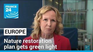 Landmark EU nature restoration plan gets green light despite farmers protests • FRANCE 24 English