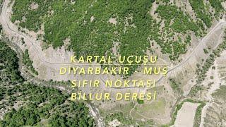 Diyarbakır- Muş Sınırı - Billur Deresi Gelîyê Bilur