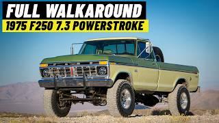 7.3 Powered Dentside F250 Walkaround