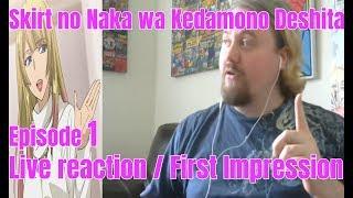 Skirt no Naka wa Kedamono Deshita episode 1 live reaction  First Impression