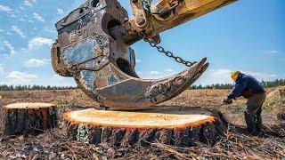 Amazing Dangerous Biggest Stump Removal Excavator in Action Powerful Stump Removal Grinding Machine