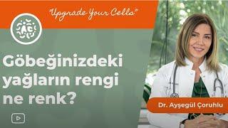 Vücudumuzdaki yağlar ne renk?  Beyaz yağları nasıl azaltabiliriz?