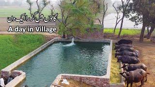 Beautiful Village in Pakistan  Best Lifestyle