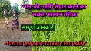 धान की नर्सरी तैयार करने का सबसे आसान तरीका  How to prepare nursery for paddy #RiceNursery #peddy