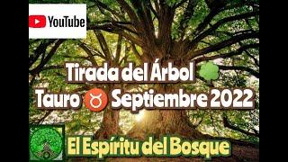 Tirada del árbol TAURO SEPTIEMBRE 2022