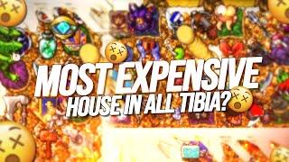 THE MOST EXPENSIVE HOUSE IN ALL TIBIA? LOOTING AND LOSING RARE DROP BOSS ITEM #TibiaFerumbrinha