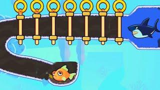 save the fish  pull the pin updated level save fish game pull the pin android game  mobile game