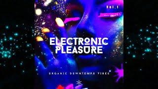 Electronic Pleasure Vol 1  - Organic Downtempo Vibes  Continuous Chillout Mix