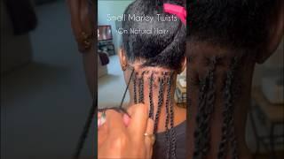 Mini Twists on Natural Hair wExtensions #naturalhair #twists