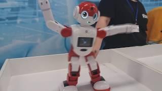 Выставка роботов 2018 Империя роботов