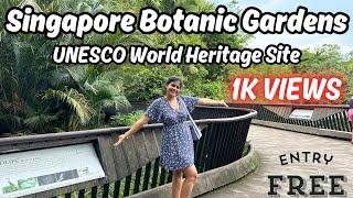 Singapore Botanical Garden Botanic Garden Singapore Botanical Garden Singapore Singapore Vlog