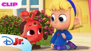 Morphle and the Magic Pets Morphle Needs a Bath Episode Clip  @disneyjr x @Morphle