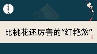 比桃花还厉害的“红艳煞”