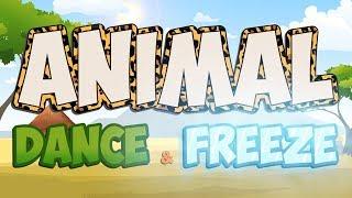 Animal Dance and Freeze  Fun Movement Brain Break  Jack Hartmann