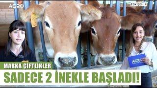 2 Yerli İnekle Başladı Jersey Çiftliği Kurdu  Marka Çiftlikler