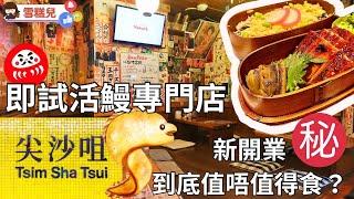 新店即試｜活鰻｜到底值唔值得食？｜尖沙咀美食