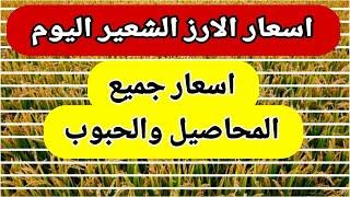 اسعار الارز الشعير اليوم اسعار الارز الابيض ومخلفات الارز واسعار الذرة والصويا اليوم