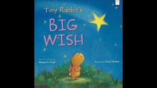 Tiny Rabbits Big Wish by Margarita Engle