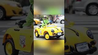 My dog has a MASSIVE car collection #ytshorts #shorts #pets #dog #shihtzu #car