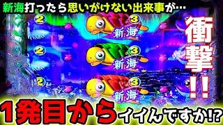 衝撃のスタート決めた結果【PA新海物語】《ぱちりす日記》甘デジ 海物語 新海