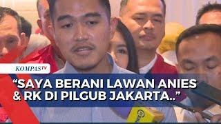 Kaesang Klaim Siap Lawan Anies dan RK di Pilgub Jakarta 2024