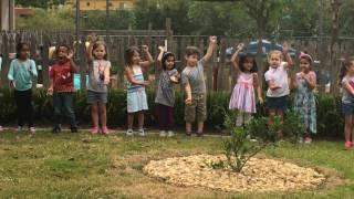 Kaias Montessori School Performance