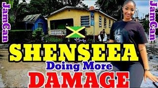  SHENSEEA Has Done More DAMAGE Than Hurricane Beryl.
