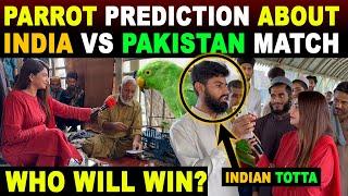 INDIA VS PAK  WHO WILL WIN?  PARROT PREDICTION ABOUT INDIA VS PAKISTAN MATCH  SANA AMJAD