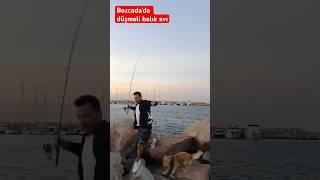 Bozcaada balık avı