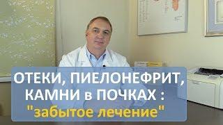 Отеки пиелонефрит камни в почках. Ортосифон - уникальное лекарство за 70 рублей. Забытая медицина.