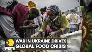 War in Ukraine drives global food crisis African nations suffering acute food scarcity  WION