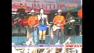 PANTURA Secawan madu byAcha kumala live in sumurbrangsong