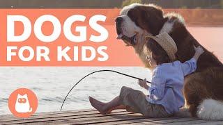 10 Best DOGS for CHILDREN  Kid-Friendly Breeds