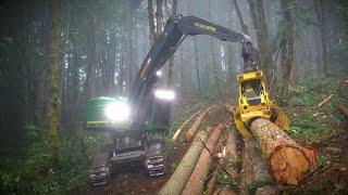 High-Capacity Versatility in Steep-Slope Logging  John Deere FL100 Felling Head
