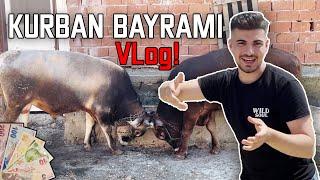 Aile Turu  Harçlık  Et döner  Kurban Bayramı VLog