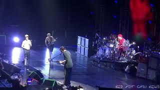 Red Hot Chili Peppers - What In The World David Bowie Cover