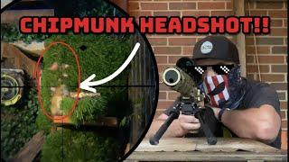 Chipmunk Vs 7.62 Airgun Pest Control