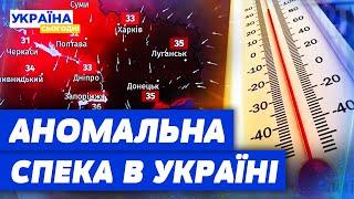 ВБИВЧА СПЕКА як врятуватись від африканської жари в Україні?