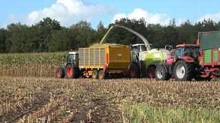 Mais hakselen met Claas Jaguar 940 en Case IH trekkers door loonbedrijf H van Haarst 2022