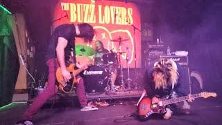 The Buzz Lovers nirvana tribute band from spain live full set in Draper UT 61023