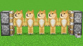 doge x5