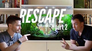 WE TRANSFORMED THIS ROOM DIVIDER AQUARIUM EPIC RESCAPE W@MJAquascaping