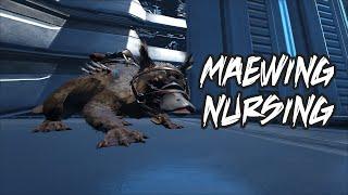 Maewing nursing  Baby dinos raising  Genesis 2  ARK Survival Evolved