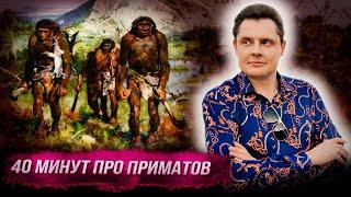 Понасенков 40 минут описывает разных увиденных приматов
