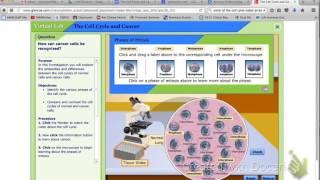 The Cell Cycle and Cancer Virtual Lab Instructions