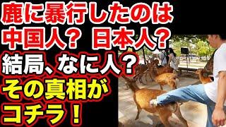 いま騒がれてる奈良公園シカへの暴行事件の真相がコチラ…