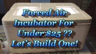 Build a Forced Air Incubator For UNDER $25