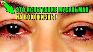 НАУЩЕНИЯ ШАЙТАНА ИЛИ ИСПЫТАНИЕ И МИЛОСТЬ АЛЛАХА \ НЕ ВСЕ МУСУЛЬМАНЕ ЗНАЮТ ЭТО