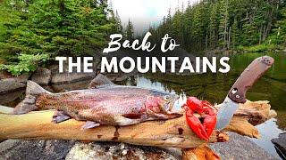 GIANT TROUT Fishing & SOLO Camping Catch & Cook Movie