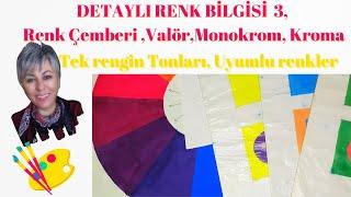 DETAYLI RENK BİLGİSİ 3nötrsıcak-soğukzıt renkler monokrom valör kroma nedir renk uyumucolor